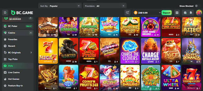 Exploring BC.Game Online Casino A New Era of Gaming